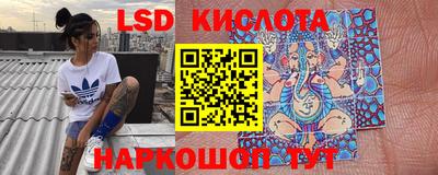 прущие крисы Краснознаменск
