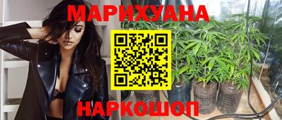 прущие крисы Краснознаменск