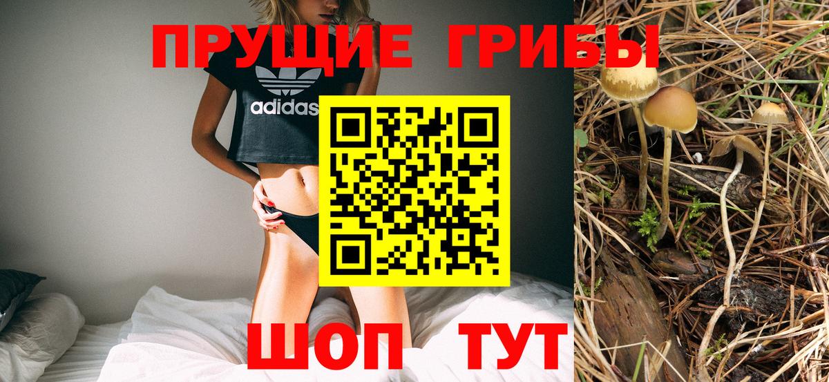 Псилоцибиновые грибы мухоморы Химки