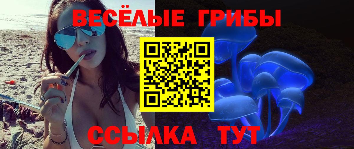 Псилоцибиновые грибы Magic Shrooms  Вход с VPN  Псилоцибиновые грибы ЛСД  Химки 
